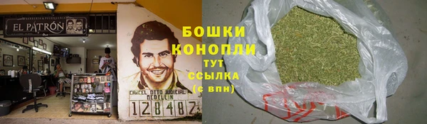 прущие крисы Беломорск