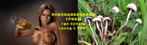 jwh Богородск