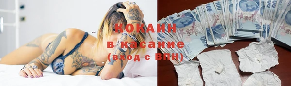 прущие крисы Беломорск