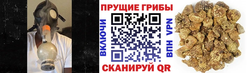Псилоцибиновые грибы GOLDEN TEACHER  мориарти наркотические препараты  Эртиль 
