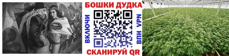 МАРИХУАНА сатива  даркнет клад  Эртиль 